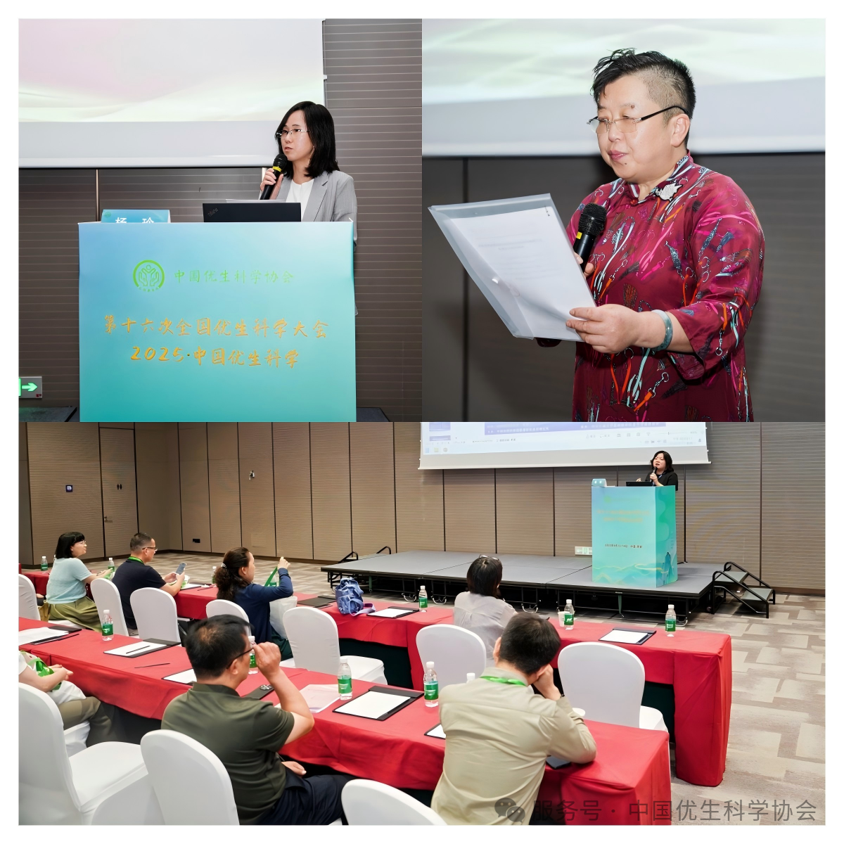 微信图片_2025-09-17_171213_398.png 微信图片_2025-09-17_171213_398.png